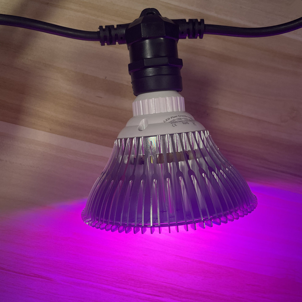 10M Cable LED String Commercia - огляд і ціна Outdoor Lighting Effects