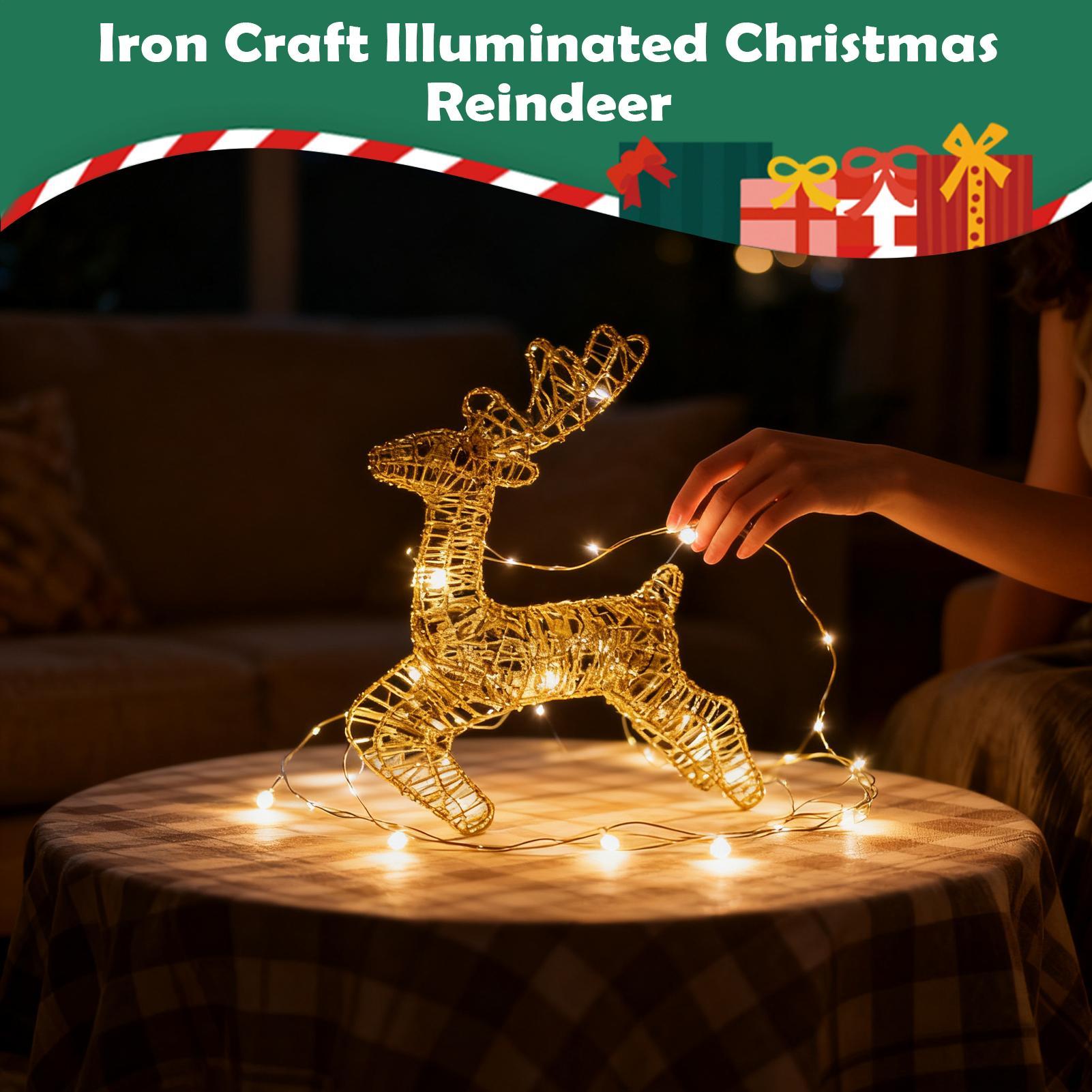 Lighted Christmas Deer Glitter - огляд і ціна Outdoor Lighting Front Yard