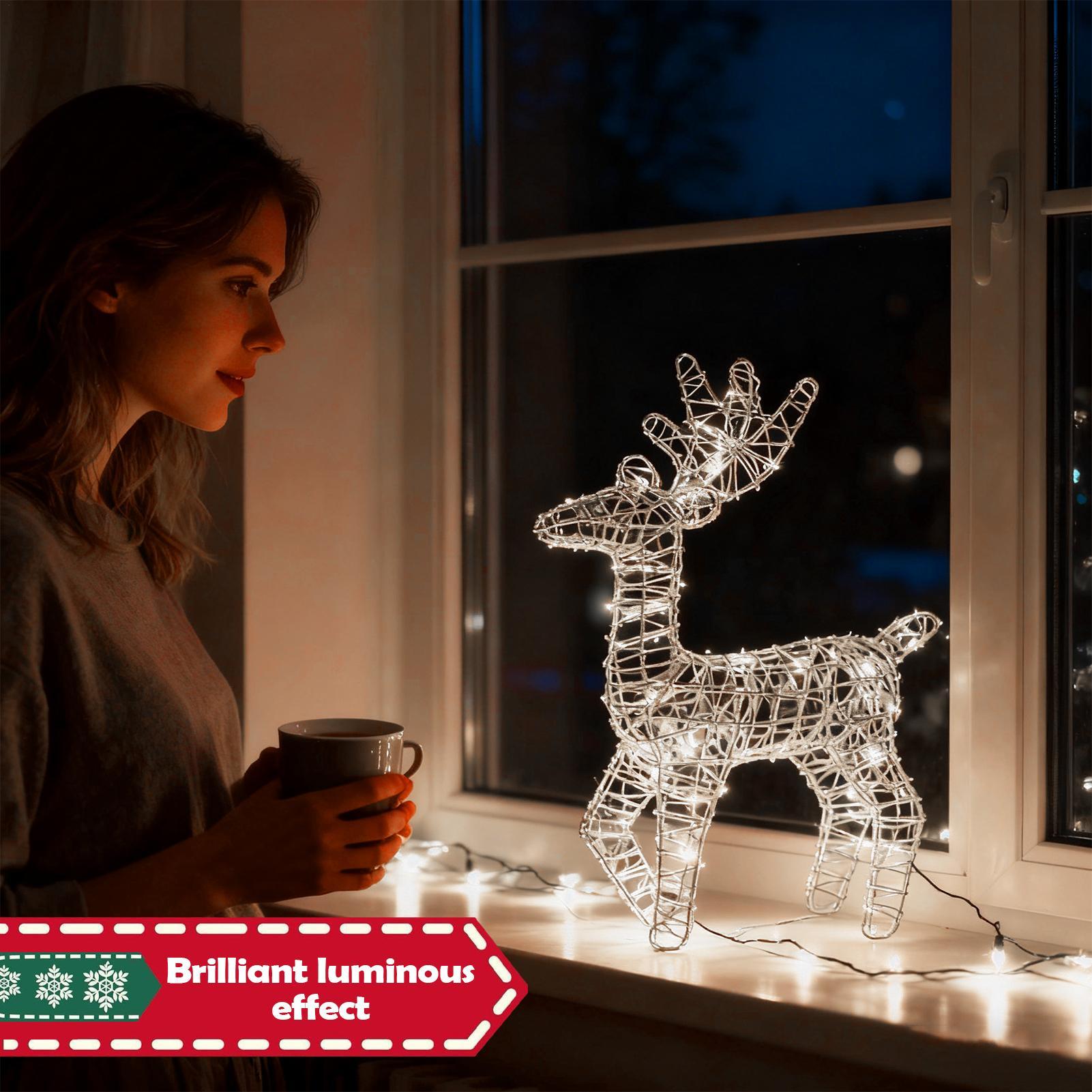 Lighted Christmas Deer Glitter - огляд і ціна Outdoor Lighting Front Yard