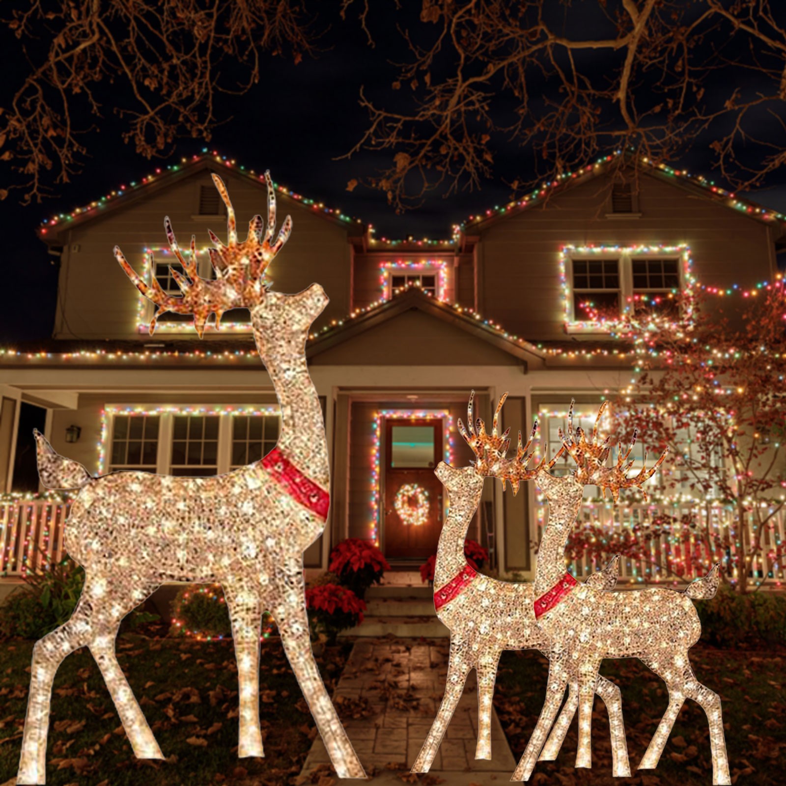 Lighted Christmas Decoration D - огляд і ціна Outdoor Lighting Front Yard