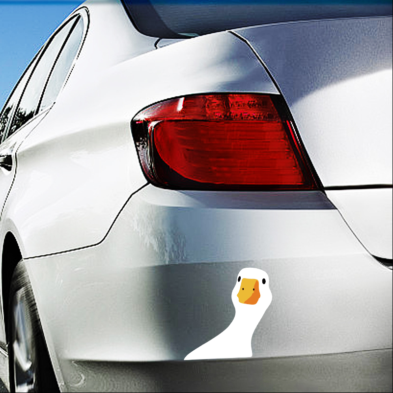 Car Safety for Doubtful Duck C - огляд і ціна Outdoor Lighting Socket